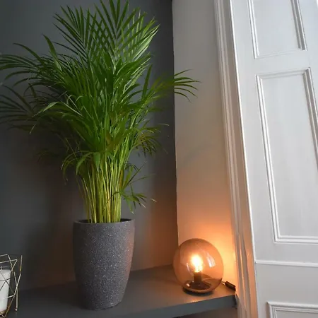 Dom wakacyjny 38 George Street *